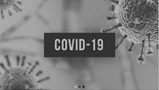 COVID-19 – ESCOLAS DE ACOLHIMENTO – INFORMAÇÃO AOS ENCARREGADOS DE EDUCAÇÃO